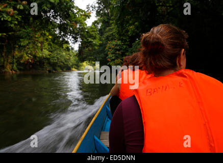 Longboat am Fluss Paku unter den alluvialen (Fließgewässer) Regenwald im Gunung Mulu National Park, Sarawak, Malaysia Stockfoto