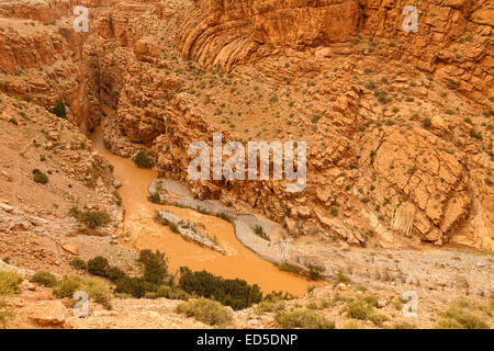 Dades Schlucht. In der Nähe von Todra Schlucht. Marokko. Nordafrika. Afrika Stockfoto