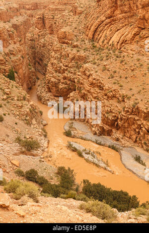 Dades Schlucht. In der Nähe von Todra Schlucht. Marokko. Nordafrika. Afrika Stockfoto