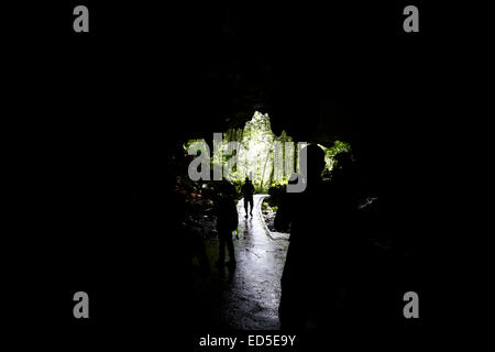 Langs Höhleneingang im Gunung Mulu Nationalpark in Sarawak, Malaysia Stockfoto