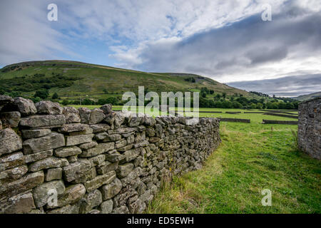 Die atemberaubende Aussicht von Muker nach Swaledale in der Yorkshire Dales National Park, North Yorkshire. Swaledale Leinwand. SWA Stockfoto