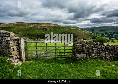 Der Blick nach unten Swaledale von hoch oben Muker in der Yorkshire Dales National Park, North Yorkshire. Swaledale Leinwand. Stockfoto