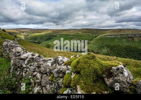 Der Blick nach unten Swaledale von hoch oben Muker in der Yorkshire Dales National Park, North Yorkshire. Swaledale Leinwand. Stockfoto