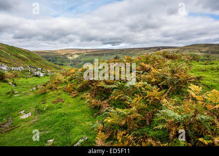 Der Blick nach unten Swaledale von hoch oben Muker in der Yorkshire Dales National Park, North Yorkshire. Swaledale Leinwand. Stockfoto