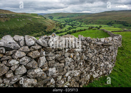 Der Blick nach unten Swaledale von hoch oben Muker in der Yorkshire Dales National Park, North Yorkshire. Swaledale Leinwand. Stockfoto