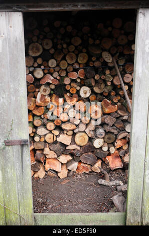 Lagern von Brennholz in einem Holzschuppen. Stockfoto