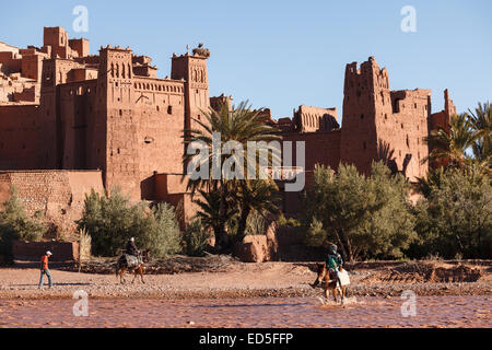 Esel und Ait Benhaddou. Atlas mountian. Marokko. Nordafrika. Afrika Stockfoto