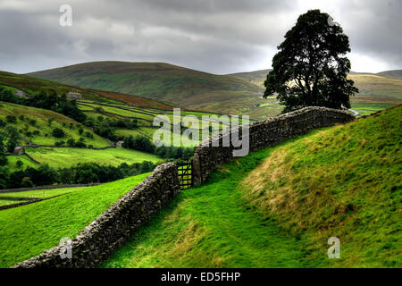 Die atemberaubende Aussicht nach unten Swaledale in Richtung Muker in der Yorkshire Dales National Park, North Yorkshire.   Swaledale Canva Stockfoto