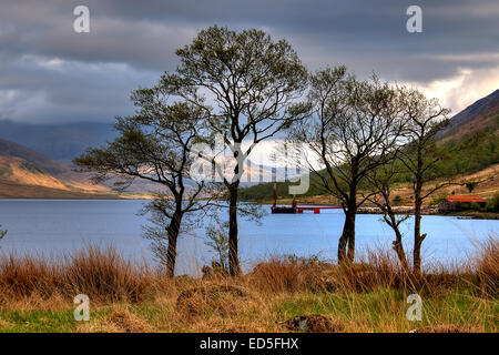 Loch Etive in den Highlands von Schottland Stockfoto