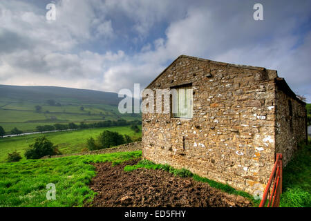 Besuchen Sie am frühen Morgen, Swaledale bei Healaugh ebenso wie der frühen Morgennebel im Swaledale in der Yorkshire Dales Na aufging Stockfoto