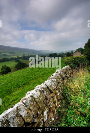 Der Blick nach unten Swaledale in Yorkshire Dales National Park, North Yorkshire in Richtung Healaugh. Swaledale Leinwand. Swale Stockfoto