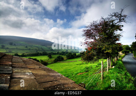 Der Blick nach unten Swaledale in Yorkshire Dales National Park, North Yorkshire in Richtung Healaugh. Swaledale Leinwand. Swale Stockfoto