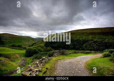 Auf die Coast to Coast Walk und rückblickend handelt es sich um den Blick in Richtung Keld im Swaledale in den Yorkshire Dales National Park, Stockfoto