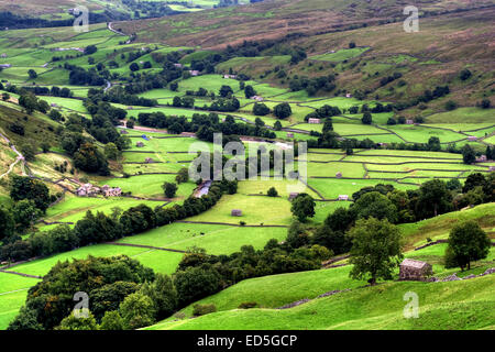 Die atemberaubende Aussicht nach unten Swaledale in Richtung Muker in der Yorkshire Dales National Park, North Yorkshire.   Swaledale Canva Stockfoto