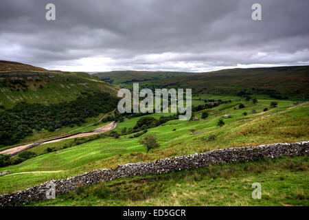 Der Blick hinunter Swaledale in Yorkshire Dales National Park, North Yorkshire in Richtung Muker. Swaledale Leinwand. Swaledal Stockfoto