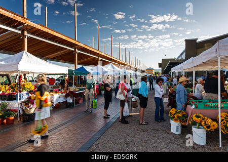 Käufer und Verkäufer, Bauernmarkt, Railyard District, Santa Fe, New Mexico, Vereinigte Staaten Stockfoto