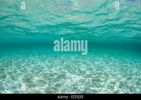 Sonnenlicht flimmert über den weißen Sandboden des karibischen Meeres. Stockfoto