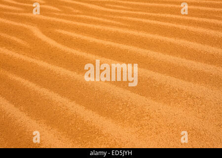 Dünen in der Nähe von Zagora. Draa-Tal. Marokko. Nordafrika. Afrika Stockfoto