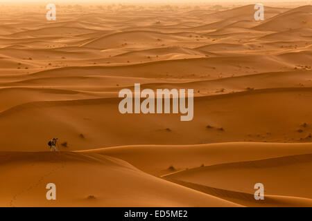 Sanddünen. Erg Chegaga. Wüste Sahara. Marokko. Nordafrika. Afrika Stockfoto