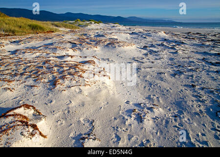 Strand von Bicheno in der Morgendämmerung Stockfoto