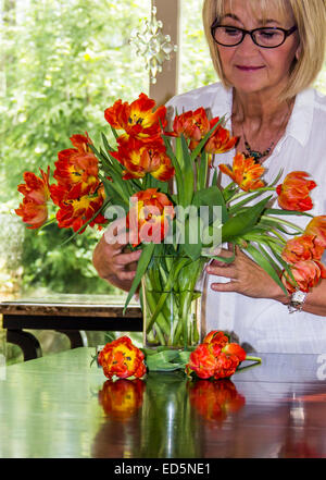 Reife Erwachsene kaukasischen Frau arrangieren eine Vase mit Blumen oder Tulpen in einem hellen Haus mit Windows. Stockfoto