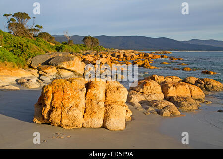 Strand von Bicheno in der Morgendämmerung Stockfoto