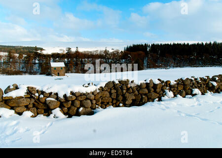 Teesdale unter 12' der Schnee so gesehen etwa 8 Meilen von Middleton in Teesdale in der Grafschaft Durham. Teesdale Leinwand. Teesdale Leinwände. Stockfoto