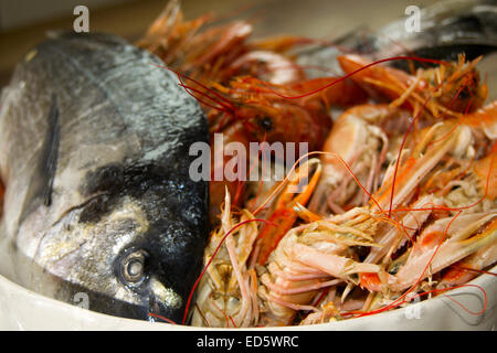 typische und traditionelle mediterrane Fisch: Langusten, Garnelen und Brassen Stockfoto