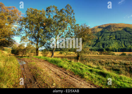 Glen Lyon in den Loch Lomond und Trossachs National Park, Schottland. Schottische Leinwand. Schottische Leinwände. Schottische Drucke. Scottis Stockfoto