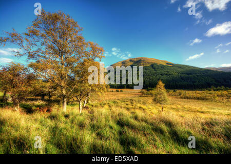 Glen Lyon in den Loch Lomond und Trossachs National Park, Schottland. Schottische Leinwand. Schottische Leinwände. Schottische Drucke. Scottis Stockfoto