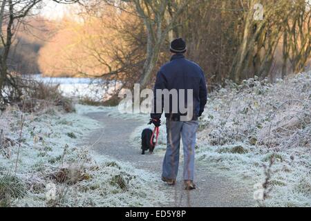 Aberystwyth, Wales, UK. 29. Dezember 2014. UK-Wetter.  Auf einem kalten und frostigen Start in den Tag geht ein Mann seinen Hund auf dem Fußweg am Ufer des Flusses Rheidol in Aberystwyth.   Nachttemperaturen sank auf-7 c in Mitte Wales was Prognosen zufolge war die kälteste Nacht des Jahres so weit sein und sollen nicht höher als 5 c während des Tages Credit zu erreichen: Keith Morris/Alamy Live-Nachrichten Stockfoto