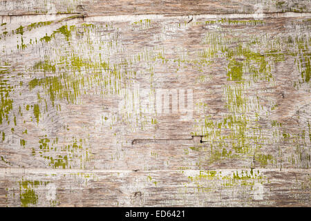 Alten Grunge Sperrholz mit grüner Farbe Schicht, Foto Hintergrundtextur Stockfoto