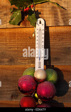 Titley, Herefordshire, England. 29. Dezember 2014. UK-Wetter: ländliche Gebieten wachte auf Tagesanbruch Gefrierpunkt. Diese externen Thermometer zeigt eine Temperatur von minus 4 ° c um 09:00. Stockfoto