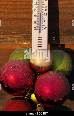 Titley, Herefordshire, England. 29. Dezember 2014. UK-Wetter: ländliche Gebieten wachte auf Tagesanbruch Gefrierpunkt. Diese externen Thermometer zeigt eine Temperatur von minus 4 ° c um 09:00. Stockfoto