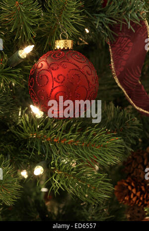 Eine glänzende rote Weihnachten Baubel, die an einem Baum hängen. Stockfoto