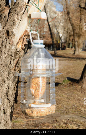 Große Kunststoff-Flasche verwendet als Zubringer für Vögel im winter Stockfoto