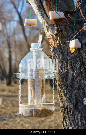Große Kunststoff-Flasche verwendet als Zubringer für Vögel im winter Stockfoto