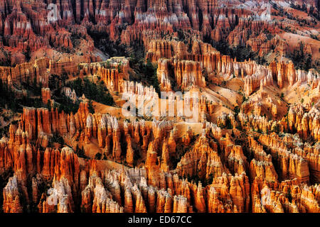 Reflektierende Abendlicht beleuchtet die Stille Stadt von Hoodoos vom Inspiration Point im Bryce Canyon National Park in Utah. Stockfoto