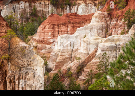 Die natürliche Schönheit des Providence Canyon, auch bekannt als Georgia's „Little Grand Canyon“, in Lumpkin, Georgia, im Providence Canyon State Park. (USA) Stockfoto