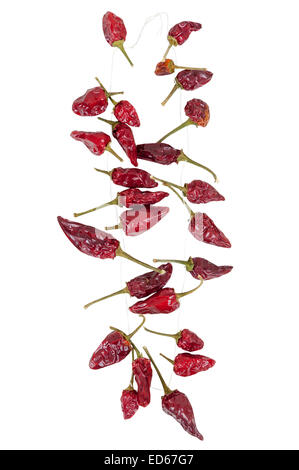 Halskette aus getrockneten Piri Piri Paprika isolierten auf weißen Hintergrund mit Beschneidungspfad Stockfoto