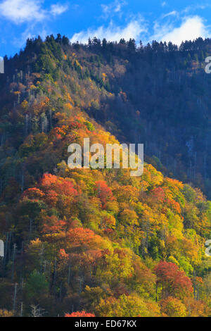 Schornstein-Tops, Great Smoky Mountains National Park, Tennessee, USA Stockfoto