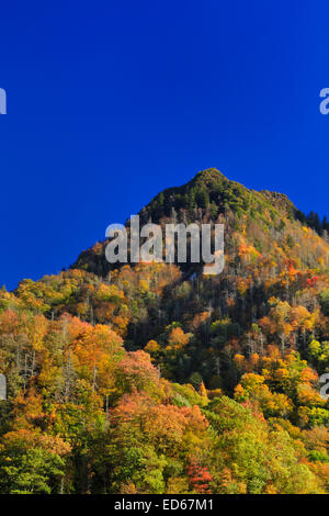 Schornstein-Tops, Great Smoky Mountains National Park, Tennessee, USA Stockfoto