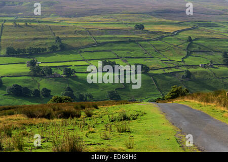 Die Schichten des Swaledale Blick hinunter in Richtung Low Row in der Yorkshire Dales National Park, North Yorkshire. Swaledale Leinwand. SW Stockfoto