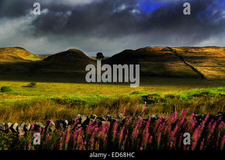 Bergahorn Lücke auf Hadrian Wall etwa 2 Meilen von einst gebraut im Northumberland National Park. Northumberland Leinwand. Northumb Stockfoto