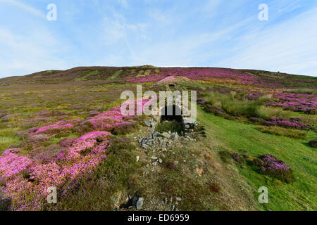 Die Kanäle für die Bleiminen Swaledale Imbetween Arkengarthdale und Low Row. Yorkshire Dales National Park Stockfoto