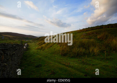 Die Aussicht vom Arkengarthdale blickte in Richtung Low Row in der Yorkshire Dales National Park, North Yorkshire. Stockfoto