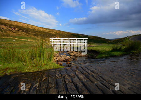 Die Ansichten im Swaledale suchen bergab in Richtung Low Row, in der Yorkshire Dales National Park, North Yorkshire. Stockfoto