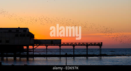 Aberystwyth, Wales, UK. 29. Dezember 2014. UK-Wetter: Eine Spur der Stare über Aberystwyth Pier bei Sonnenuntergang. Bildnachweis: Alan Hale/Alamy Live-Nachrichten Stockfoto