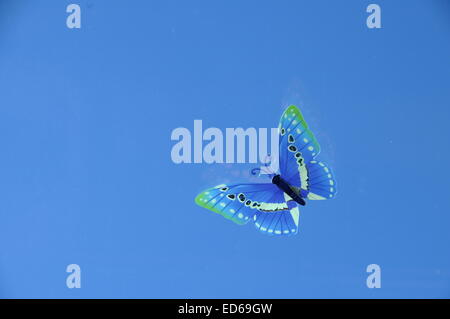 Blaue Fake Schmetterling auf blauen Himmelshintergrund Stockfoto