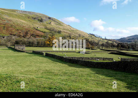 Die Aussicht von Muker blickte Swaledale in den Yorkshire Dales National Park. North Yorkshire Stockfoto